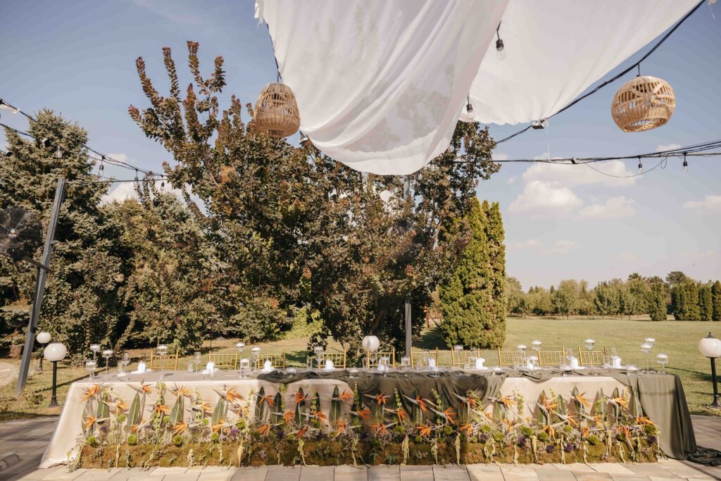 marina_stefan_NovaFrameFvs-10