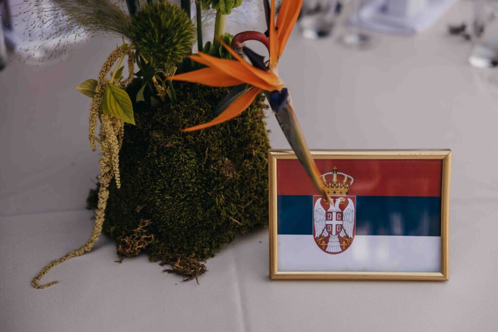 marina_stefan_NovaFrameFvs-15