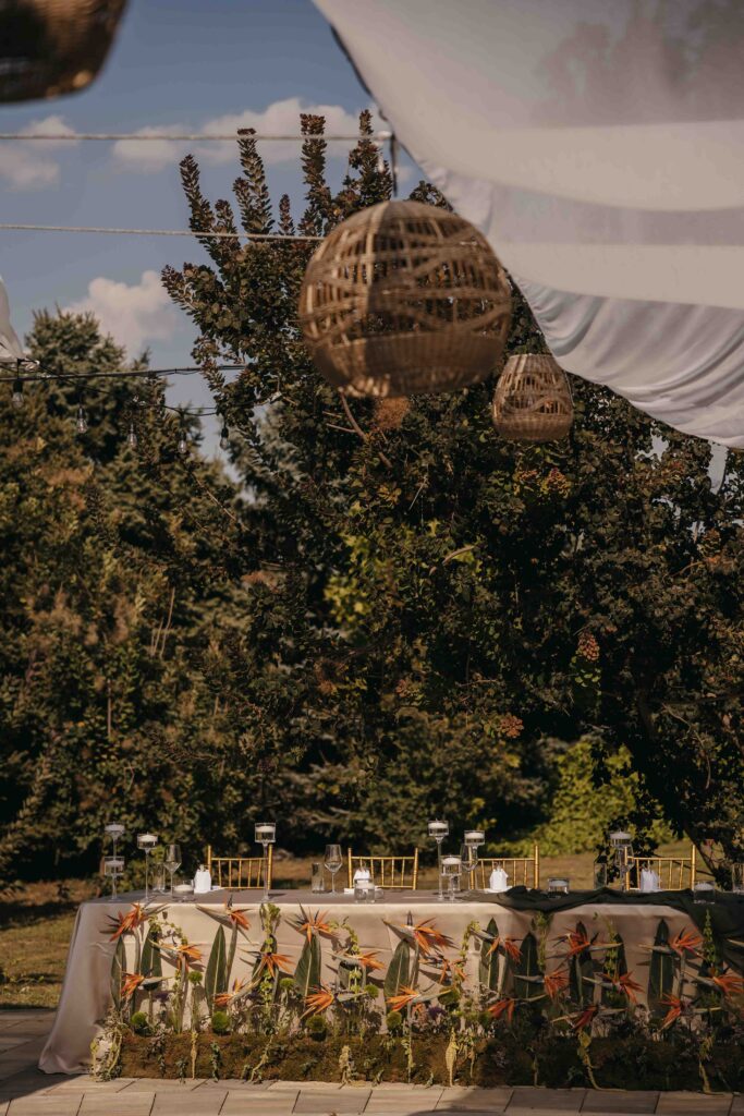 marina_stefan_NovaFrameFvs-18