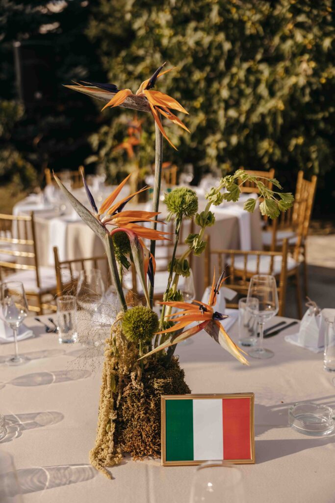 marina_stefan_NovaFrameFvs-19