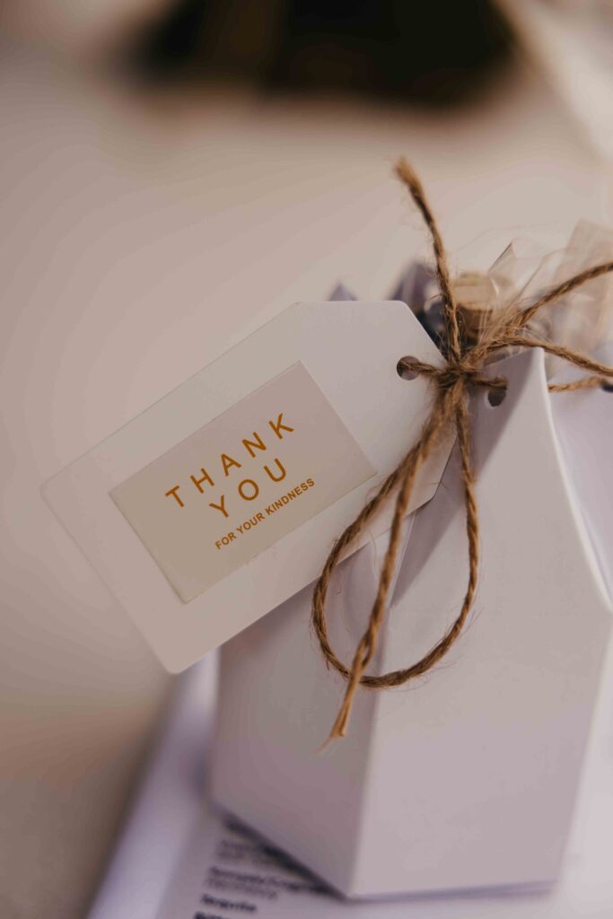 marina_stefan_NovaFrameFvs-7