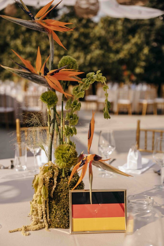 marina_stefan_NovaFrameFvs-8